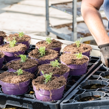 in de serre van plantcare
