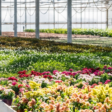 in de serre van plantcare